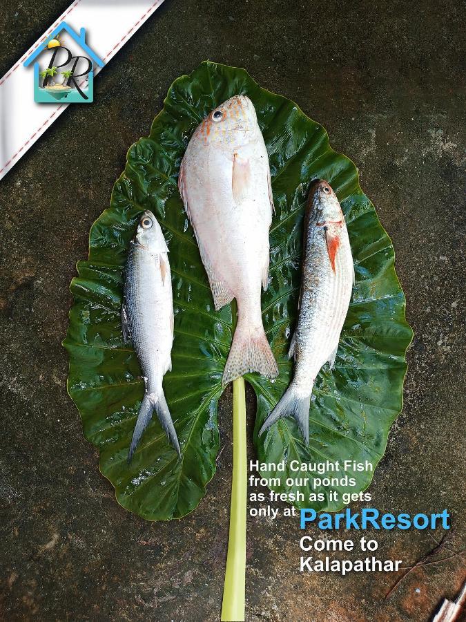 Parkresort - Organic Farm Resort Kala Pathar Beach Zewnętrze zdjęcie