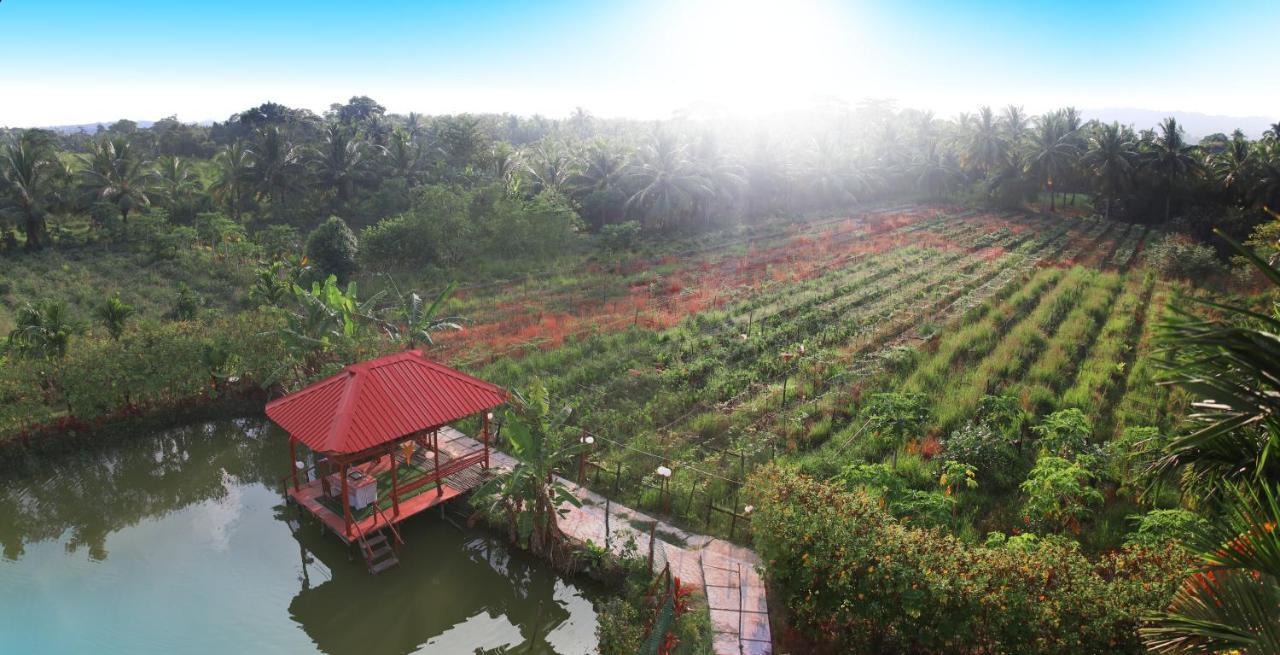 Parkresort - Organic Farm Resort Kala Pathar Beach Zewnętrze zdjęcie